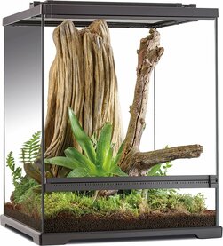 Inrichting Terrarium