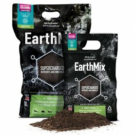 Jungle Bedding & Moss BIO