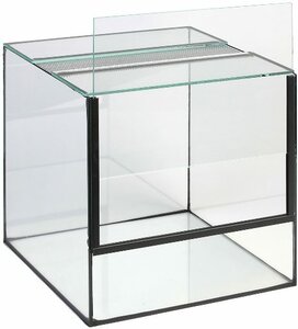 Glas Terrarium 30x30x30 