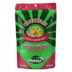 PANGEA REPTILE FRUIT MIX WATERMELON COMPLETE GECKO DIET 454GR