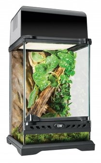 Exo Terra Nano Glass Terrarium Wide 20x20x30cm