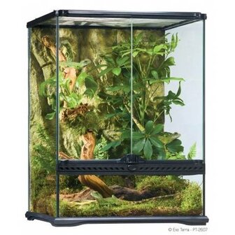 Exo Terra Glass Terrarium 45x45x60 cm