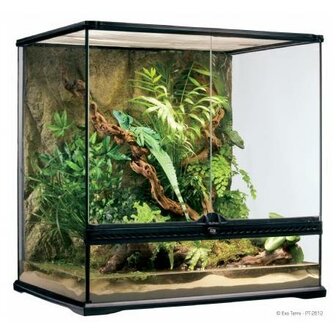 Exo Terra Glass Terrarium 60x45x60cm