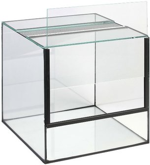 Glas Terrarium 30x30x30 