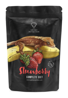 Gecko Nutrition Strawberry 500gr 