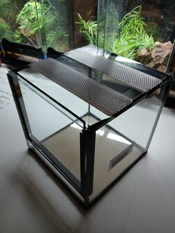 Glas Terrarium 20x20x20 