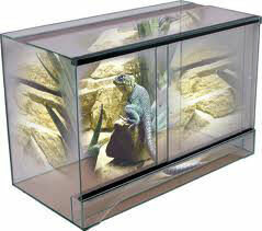 Glas Terrarium 60x30X40