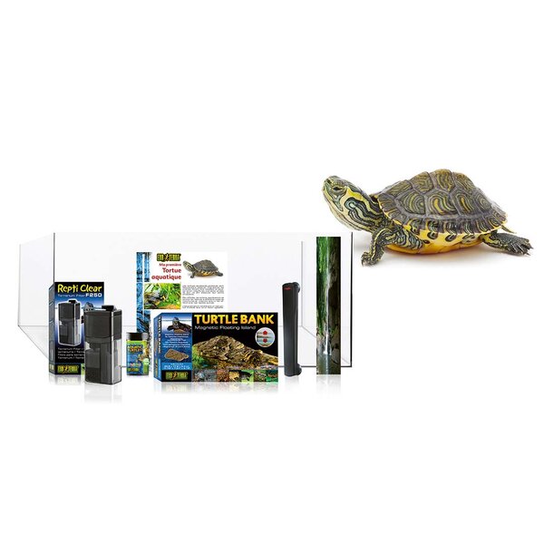Exo Terra kit terrarium waterschildpad &#039;Recupelbijdrage inclusief&rsquo;