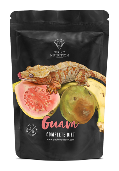 Gecko Nutrition Guave 500gr 