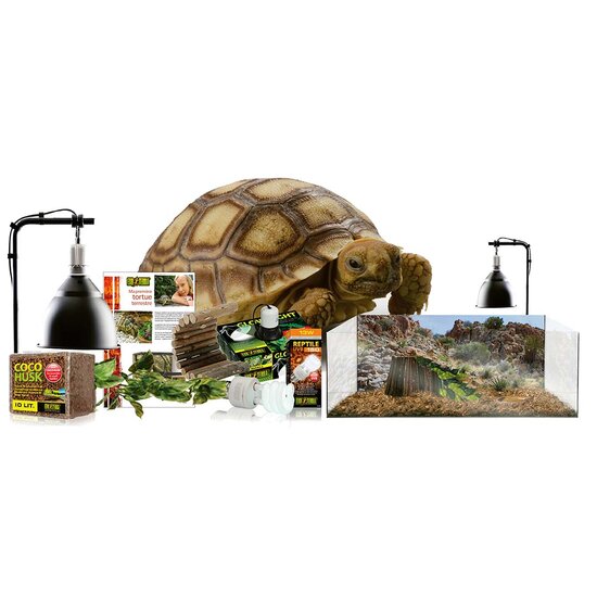 Exo Terra kit terrarium landschildpad &#039;Recupelbijdrage inclusief&rsquo;