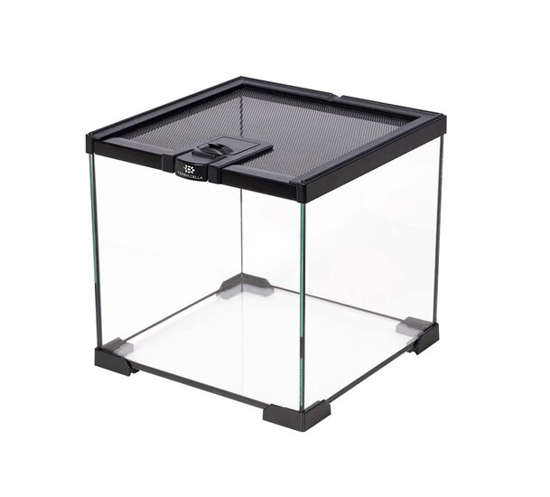 TD Terrarium 20&times;20&times;20cm 