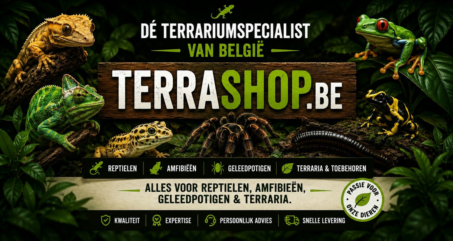 banner_nl.jpg