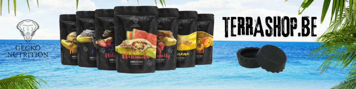Bestel nu jouw Gecko Nutrition! | Commandez dès maintenant votre Gecko Nutrition! Bestel nu jouw Gecko Nutrition! | Commandez dès maintenant votre Gecko Nutrition!