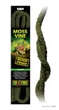 Exo Terra Moss Vine Small