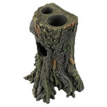 Gecko Tree