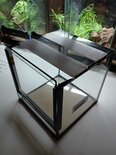 Glas Terrarium 20x20x20