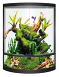Repto Terra Halfmaan Terrarium 56x28x64cm