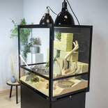 Terra Della Knockdown 90x45x60