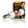 Exo Terra Intense Basking Spot 50w 'Recupelbijdrage inclusief’