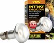 Exo Terra Intense Basking Spot 75w 'Recupelbijdrage inclusief’