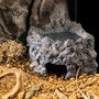 Exo Terra Wetrock Antraciet M