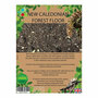 P2W New Caledonian Forest Floor 10L